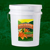 Mycostim Beneficial Mycorrhizae Fungus for Plants